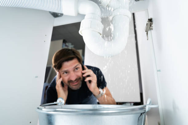 Best Best Plumbers Near Me  in Standish, MI